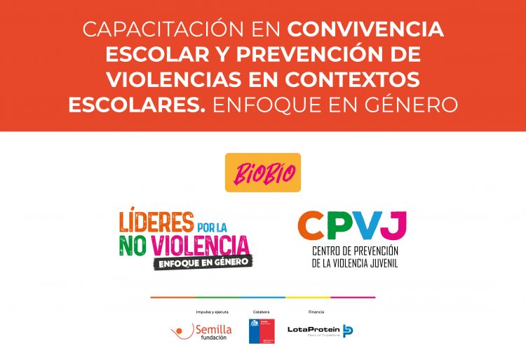 Con 52 graduad@s culmina el curso de Convivencia Escolar y Prevención de Violencias en Contextos escolares en la Región de Biobío